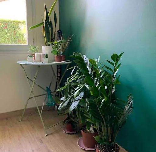 Calme & Confort, Piscine, Jardin, Parking *